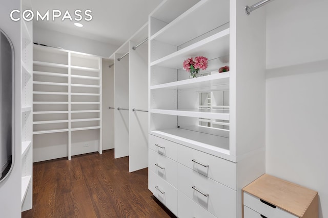 walk in closet with dark wood-style flooring