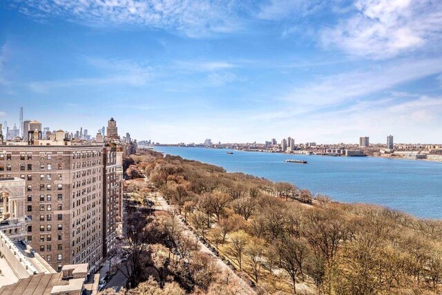 390 Riverside Dr Unit 6D, New York City, NY 10025 - water view featuring a skyline view