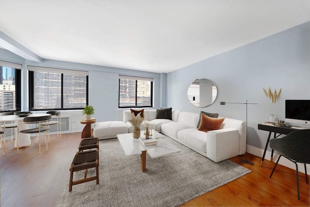 living room featuring wood finished floors