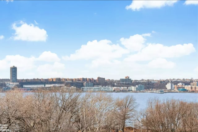 water view featuring nearby urban area