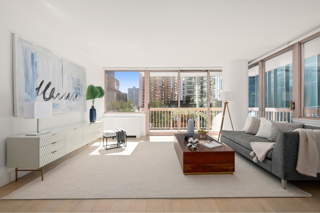 living room with wood-type flooring, a wall of windows, and a city view