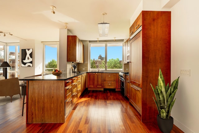 kitchen with a breakfast bar, a peninsula, dark wood-style floors, high end stainless steel range, and a sink