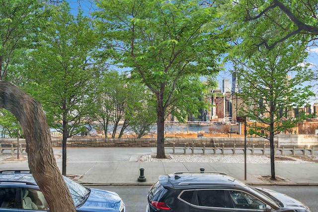 81-87 Columbia Hts Unit 5/6/7, New York City, NY 11201 - exterior space