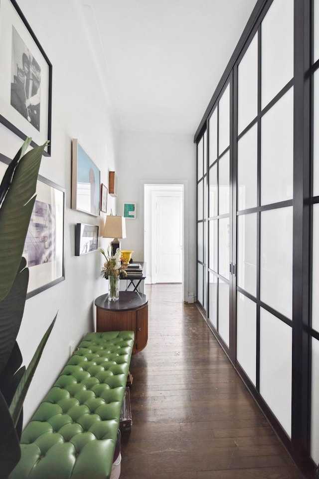 corridor with dark wood finished floors
