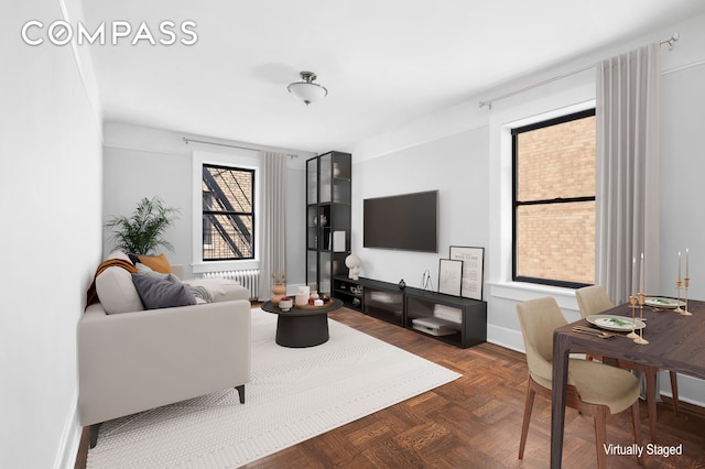 living room featuring radiator heating unit