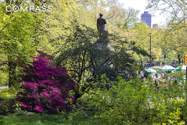 20 W 64th St Unit 41H, New York City, NY 10023 - view of nature