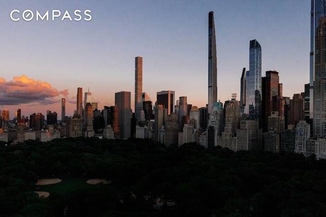 20 W 64th St Unit 41H, New York City, NY 10023 - skyline view