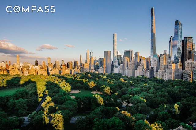 20 W 64th St Unit 41H, New York City, NY 10023 - skyline view