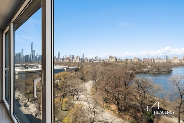 1050 5th Ave Unit 17D, New York City, NY 10028 - water view with city skyline