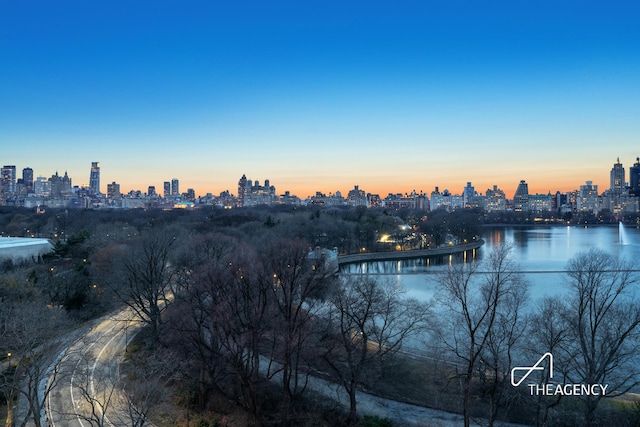 1050 5th Ave Unit 17D, New York City, NY 10028 - water view with skyline
