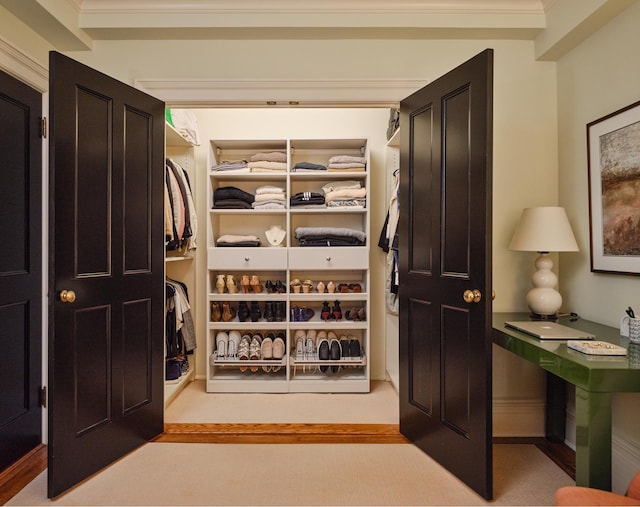 view of spacious closet
