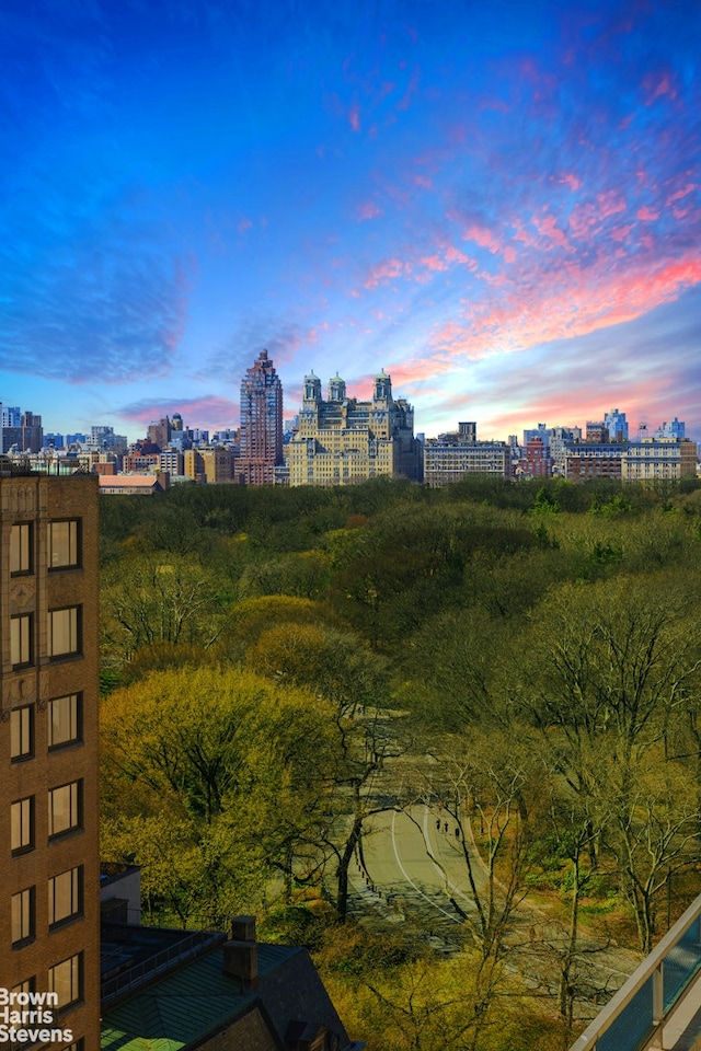 view of city