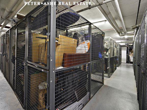220 E 65th St Unit 8-J, New York City, NY 10065 - view of storage room