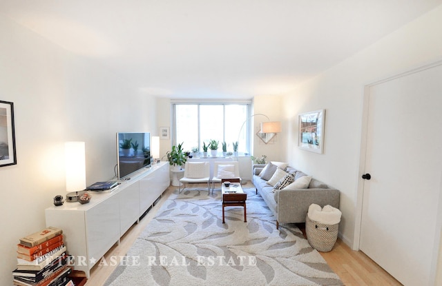 living area featuring light wood-style floors