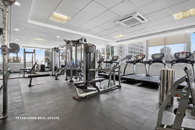 workout area featuring a wealth of natural light and a drop ceiling