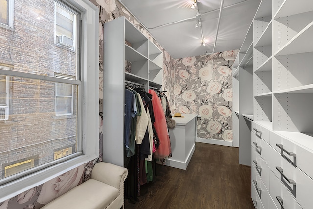 walk in closet with dark wood finished floors