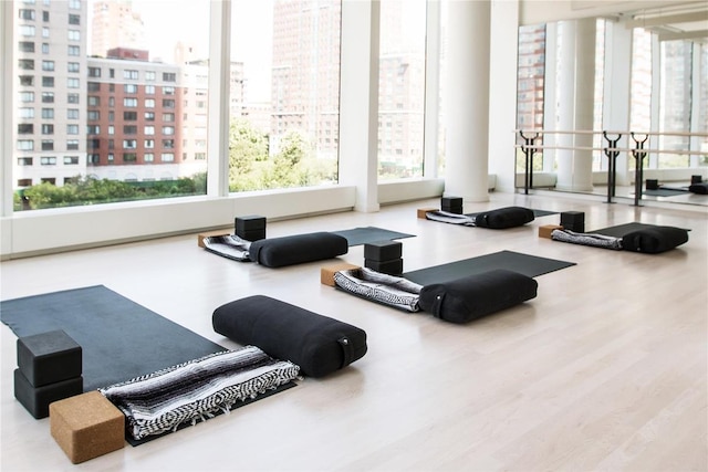 exercise room with wood finished floors, a wealth of natural light, and a view of city