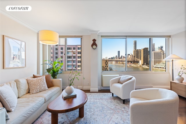 living room featuring a city view, ornamental molding, wood finished floors, baseboards, and healthy amount of natural light