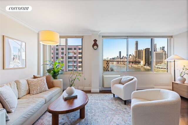 575 Main St Unit 903, New York City, NY 10044 - living area featuring a view of city, ornamental molding, baseboards, and wood finished floors