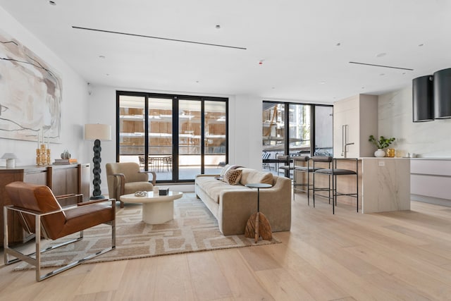1025 Pacific St Unit 2A, New York City, NY 11238 - living room featuring light wood-style floors and a wall of windows