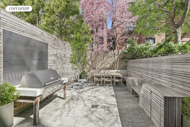view of patio / terrace featuring a fenced backyard and area for grilling