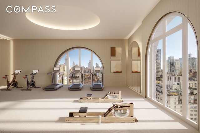 workout room with a view of city, carpet, and a decorative wall