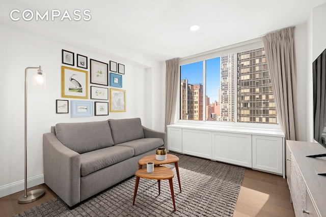 420 E 58th St Unit 14B, New York City, NY 10022 - living room featuring wood finished floors