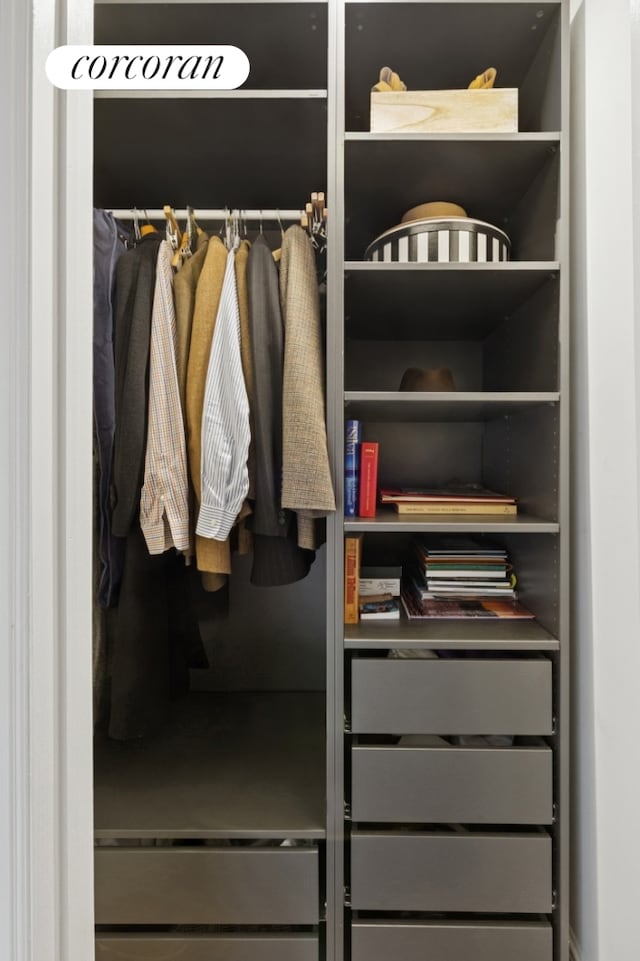 view of closet