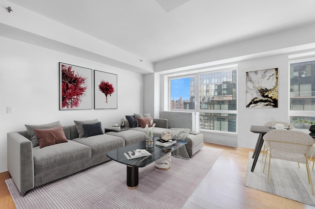 440 Kent Ave Unit 20-C, New York City, NY 11249 - living area featuring light wood-type flooring