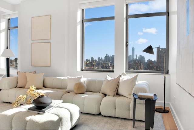 252 7th Ave Pho, Pho, New York City, NY 10001 - living area with wood finished floors, a view of skyline, and baseboards