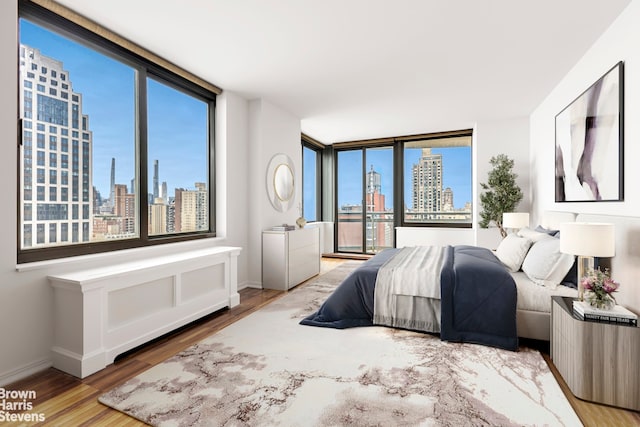 bedroom featuring a view of skyline, access to exterior, wood finished floors, and baseboards