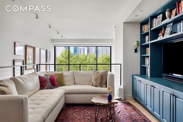 90 Furman St Unit N510, New York City, NY 11201 - living area with light wood-style floors and rail lighting