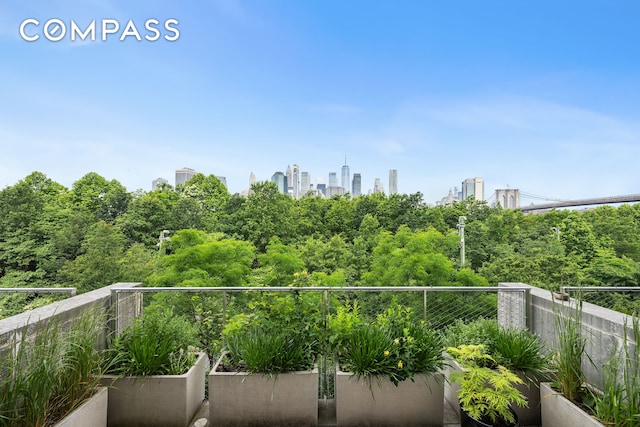 90 Furman St Unit N510, New York City, NY 11201 - balcony with a skyline view