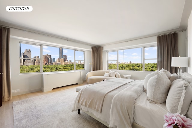 bedroom with a skyline view, wood finished floors, and baseboards