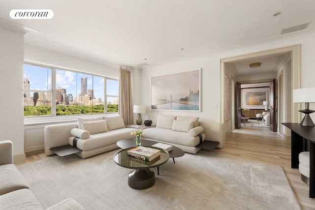 living room featuring light wood-type flooring and a view of skyline