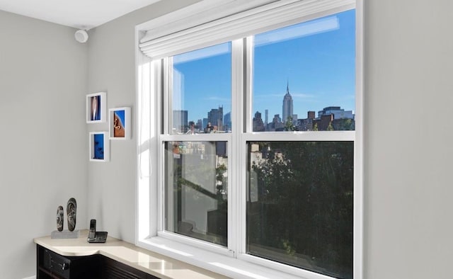 detailed view of a skyline view
