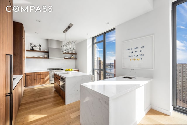 360 E 89th St Unit 29B, New York City, NY 10128 - kitchen with high end stainless steel range oven, modern cabinets, open shelves, light wood-style floors, and a sink