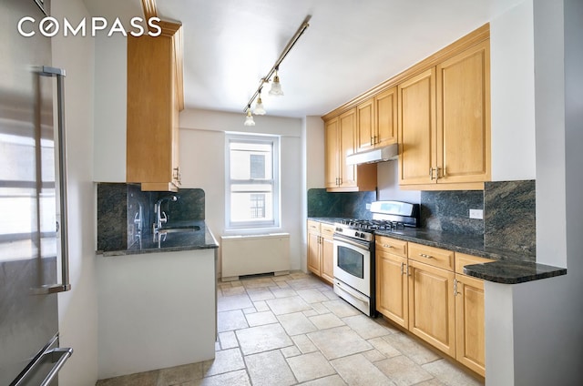 kitchen featuring appliances with stainless steel finishes, a sink, stone finish floor, tasteful backsplash, and under cabinet range hood