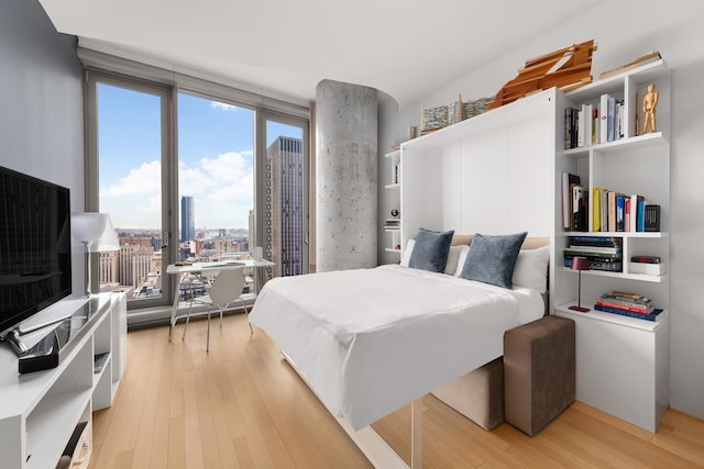 56 Leonard St Unit 29Ae, New York City, NY 10013 - bedroom featuring light wood-style floors, access to exterior, and a view of city