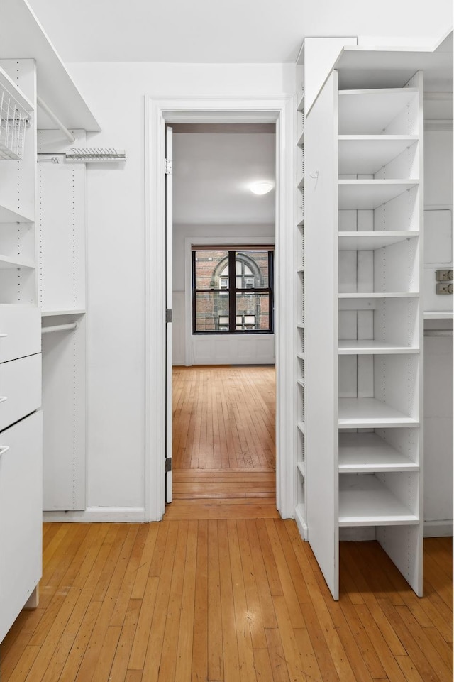 walk in closet with light wood-style flooring