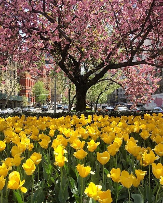 750 Park Ave Unit 1C, New York City, NY 10021 - view of home's community