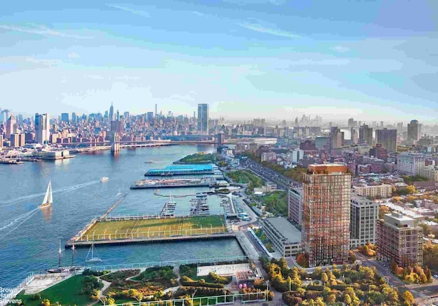 50 Bridge Park Dr Unit 21D, New York City, NY 11201 - drone / aerial view of skyline and a nearby body of water