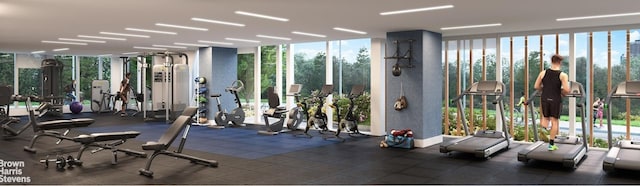 50 Bridge Park Dr Unit 21D, New York City, NY 11201 - workout area featuring floor to ceiling windows
