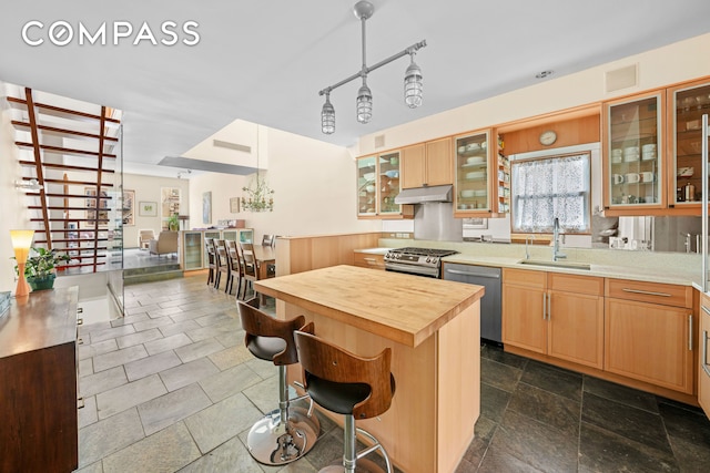kitchen with a sink, wooden counters, a breakfast bar, appliances with stainless steel finishes, and under cabinet range hood