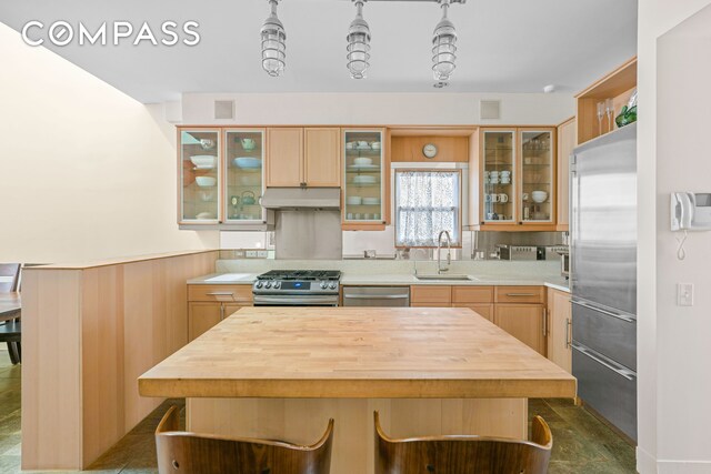 kitchen with a sink, wooden counters, appliances with stainless steel finishes, under cabinet range hood, and a kitchen island