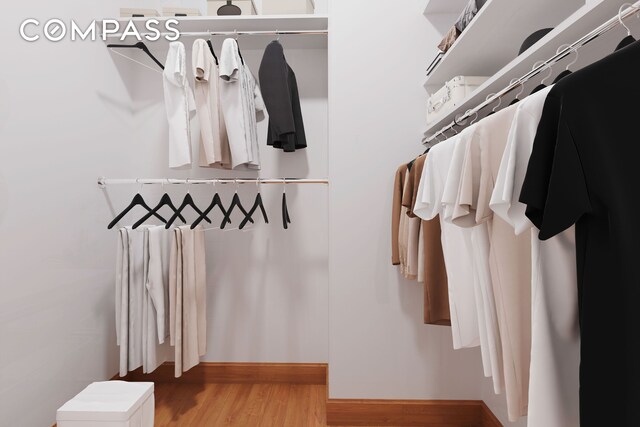 walk in closet with wood finished floors