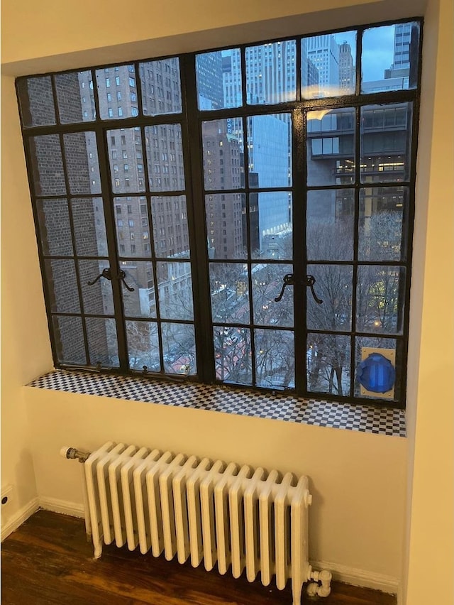 interior details with a view of city, baseboards, radiator heating unit, and wood finished floors