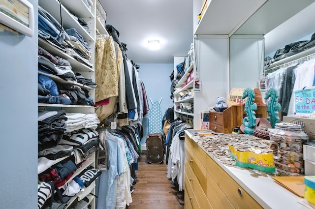 walk in closet featuring wood finished floors