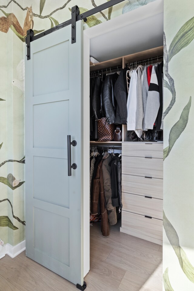 view of closet