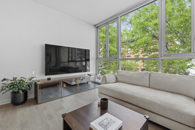 living room featuring wood finished floors and baseboards